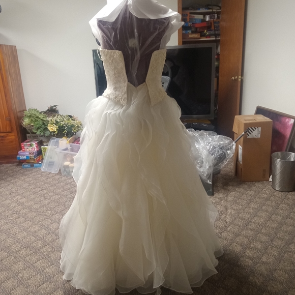 Pronovias, strapless, ivory wedding dress - Picture 2 of 5